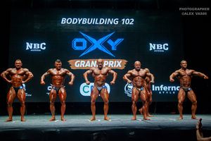 BODYBUILDING 102